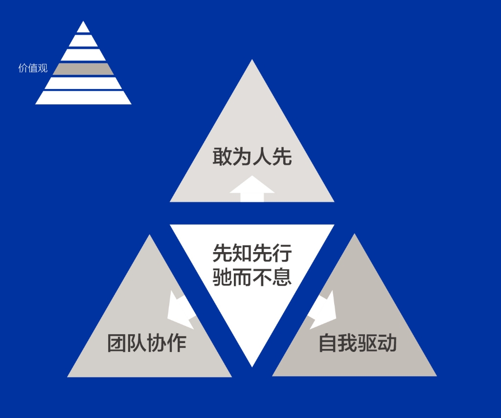 不朽情缘人的DNA——价值观